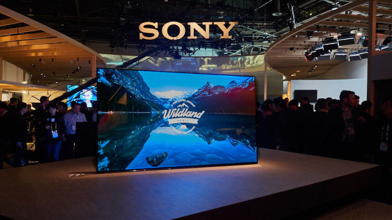 Sony’s Bravia XBR-A1E OLED can also play all three new formats.